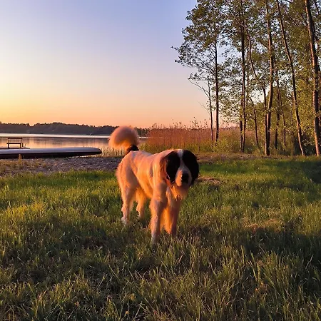 ヴィラ Przystan - Nad Jeziorem - Warmia I Mazury Jeziorany